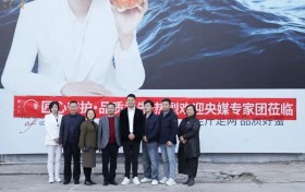 媒体专家团走进蟹太太：锻造行业标杆，传递品质力量