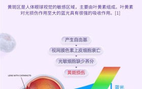 叶黄素终极指南：护眼抗疲劳首选，厚璞堂实力推荐