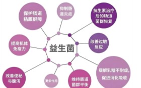 2026益生菌白皮书：含量、正宗度全面测评与年度选购技巧