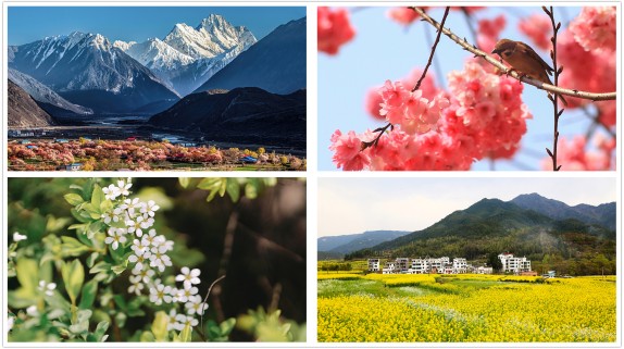 大型融媒直播《春暖花开的中国》今日开播 以花为媒 共创美丽中国先行区